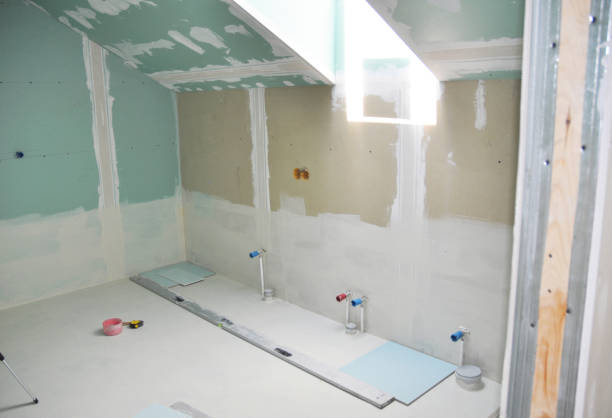 Best Forensic Mold Investigation  in Brainerd, MN