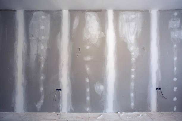 Mold Removal for HVAC Installations in Brainerd, MN